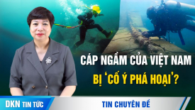 Có hay không việc cáp ngầm Việt Nam từng bị cố ý phá hoại?