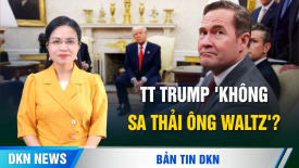 TT Trump nói ông Waltz không cần xin lỗi? Tập đoàn quân 31 của ông Tập bị 'tiêu diệt hoàn toàn'?