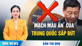 Xuồng không người lái Ukraina bắn rơi chiến đấu cơ Nga; Lô hàng quân sự thứ 2 cho Ukraina đã đến