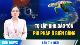 TQ lập khu bảo tồn phi pháp ở Biển Đông; Ba Lan bắn hạ nhiều UAV Nga, NATO điều quân ứng phó