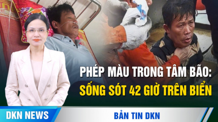 Phép màu trong tâm bão: sống sót 42 giờ trên biển, ‘uống nước mưa, ăn cua sống để cầm cự'