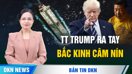 Tổng thống Trump tuyên bố trừng phạt ISIS; Musk hối hận khi tham gia DOGE, mất ngủ vì AI