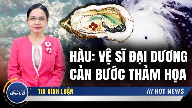 Món ăn tăng lực; Vệ sĩ thầm lặng dưới đáy biển: Rạn hàu cản bước thảm họa hủy diệt