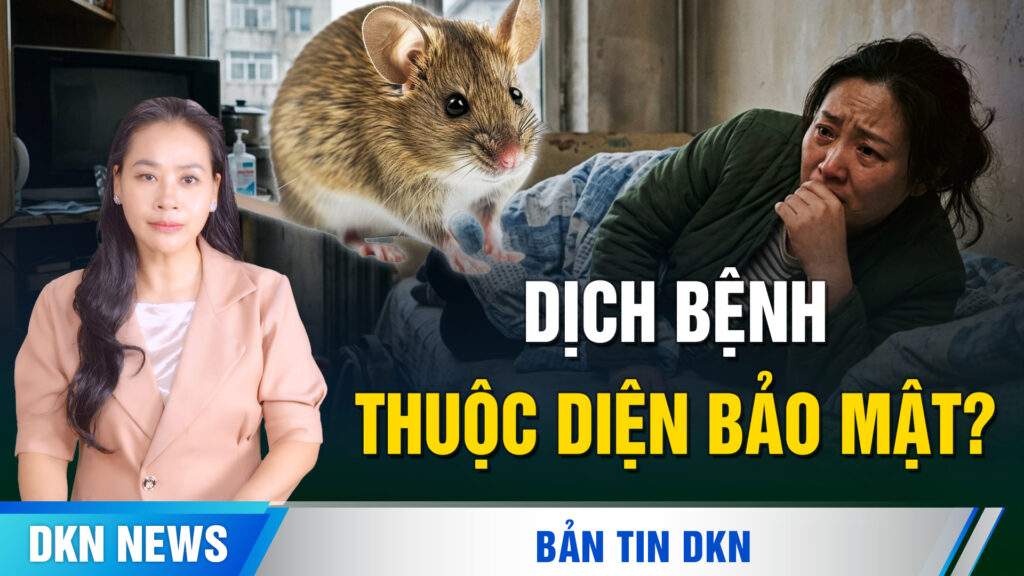 Máy bay suýt trúng hỏa tiễn; Xe Trung Quốc ghi lại bí mật quân sự; Triều tiên khoe vũ khí AI